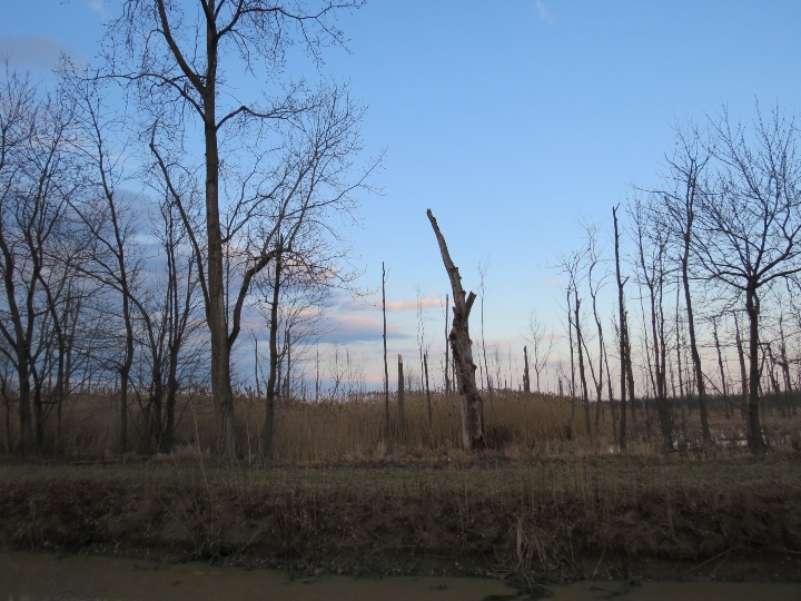 Maumee Bay